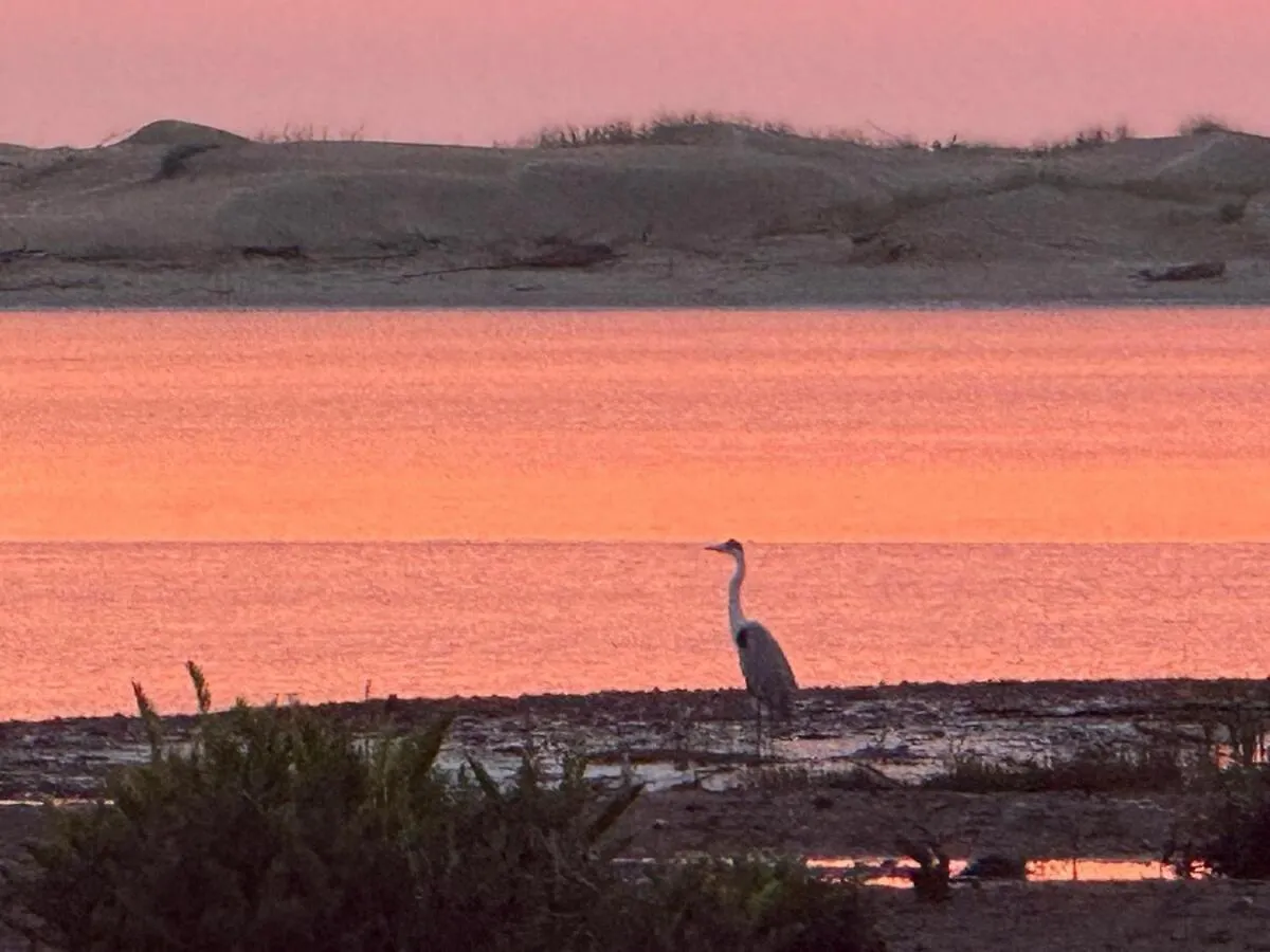 Dookie Ilhas Villa Araranguá Tatil Evi